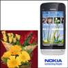 Cellphone Surprise - NOKIA C5-05 Mobile - Click here to View more details about this Product